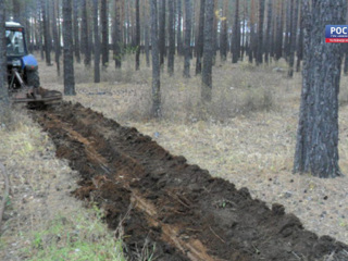 Выполнено на 85% противопожарное обустройство лесов Нижегородской области