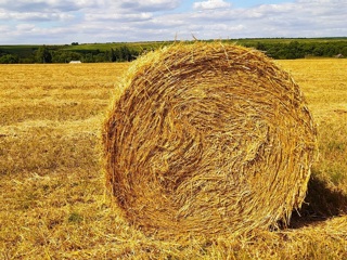 Данковский сельхозпроизводитель испортил землю на 4,5 миллиона