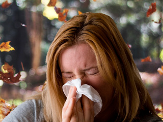 Учёные: обычная простуда может защитить от заражения коронавирусом