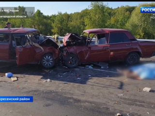 В Нижегородской области произошло ДТП с участием двух отечественных авто