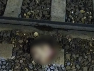 Отжимался на рельсах: поезд отрезал голову на станции Ярославля