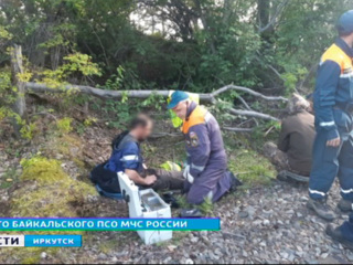 Два человека погибли при столкновении тепловоза и дрезины в Иркутской области