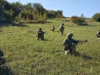 В Ингушетии во время спецоперации уничтожен вооруженный боевик (видео)
