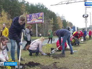 Всероссийский экологический субботник пройдет в Ивановской области