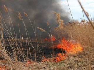 В 18 районах Кубани объявлен самый высокий класс пожароопасности