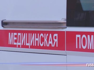 В Пензенской области в ДТП с лосем пострадали два человека