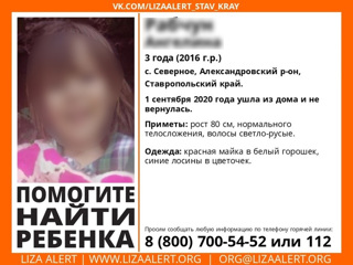 Пропавшую на Ставрополье трехлетнюю девочку нашли живой