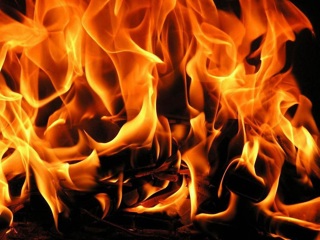 Женщина с ребенком погибли при пожаре в Вологодской области