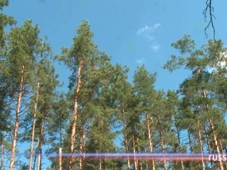 В Пензенской области временно ограничили посещение лесов