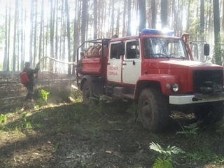В Ивановской области потушили низовой пожар в лесничестве