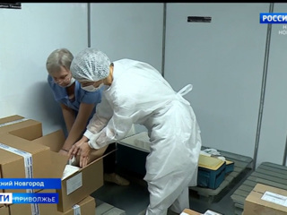В Нижегородскую область пришла первая партия отечественной вакцины от гриппа