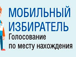 270 мобильных избирательных участков будут работать во время выборов в Казани