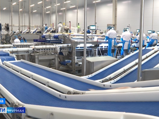 В Коле открылся рыбзавод, вошедший в пятерку крупнейших фабрик Европы