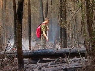 В Калужской области появятся новые системы мониторинга лесных пожаров