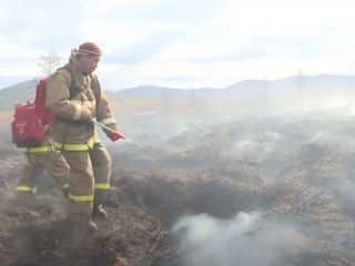 Пожар в районе поселка Уптар тушат уже несколько суток