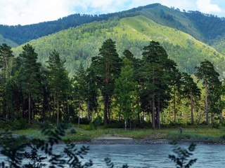 В Алтайском крае официально появилась вторая охраняемая территория федерального значения