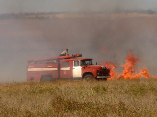 В Волгоградской области устанавливают виновников крупного ландшафтного пожара