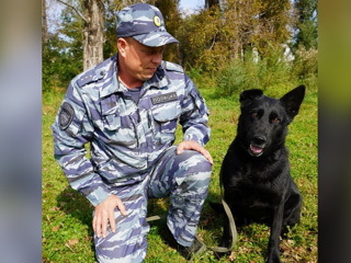 В Приамурье служебная собака помогла поймать грабителя