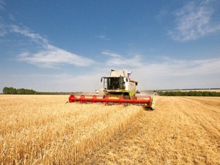 На Тамбовщине завершается уборка урожая зерновых культур