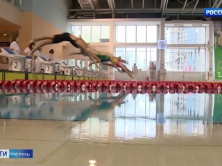Пустые трибуны на Чемпионате Пермского края по плаванию