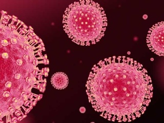 В Тамбовском регионе за сутки 35 новых случаев коронавируса