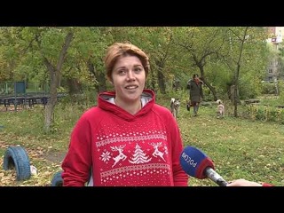 Омские волонтеры нашли собаку, отставшую от спортсменов из Барнаула