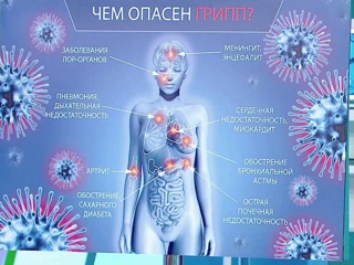 Прививка от гриппа: как с ее помощью защититься от коронавирусной инфекции
