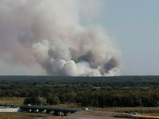 За сутки в России ликвидировано 67 лесных пожаров