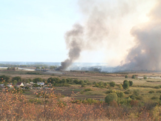 Крупный ландшафтный пожар в Воронежской области перекинулся через реку