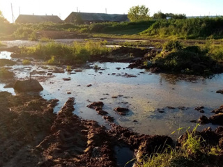 Фермер навозом отравил деревню и пруд в Костромской области