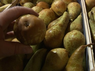 В Смоленской области задержали большегрузы с санкционными фруктами