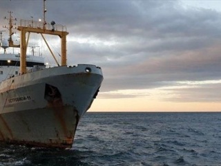 ФСБ пресекла деятельность ОПГ, фабриковавшей документы судам на выход в море
