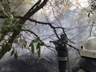 Природные пожары в Ростовской области: осталось два очага возгорания
