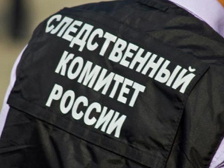 В Новосибирской области СК расследует дело об избиении младенца