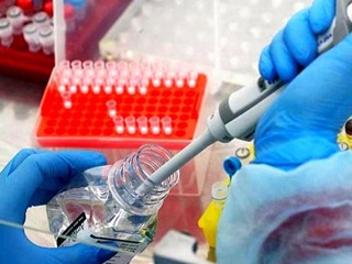 В Поморье могут ужесточить противокоронавирусные меры
