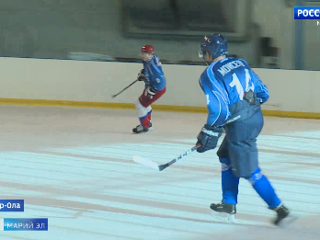 В Йошкар-Оле состоялся десятый турнир по хоккею среди ветеранов