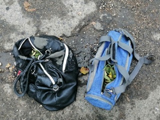 В Липецкой области задержали парня с двумя сумками марихуаны