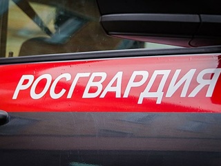 В Омске арестованы сотрудники Росгвардии
