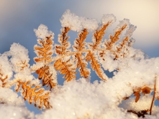 Ударят заморозки. Погода в Челябинской области резко изменится в ближайшие часы