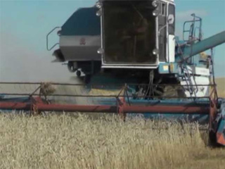 Забайкальские аграрии потеряли 380 млн рублей из-за выпавшего снега