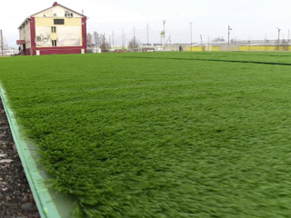 В костромской спортивной школе делают газон за 10 миллионов