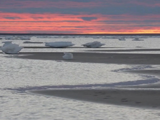 Море Лаптевых впервые не замерзло: чем это грозит человечеству