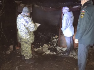 В Саратовской области пожарные нашли останки человека