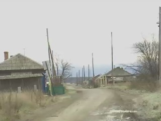 Стая одичавших собак терроризирует жителей деревень на Урале
