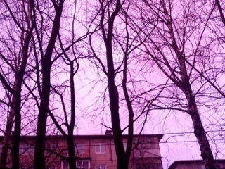 В Архангельской области наблюдали необычный розовый рассвет