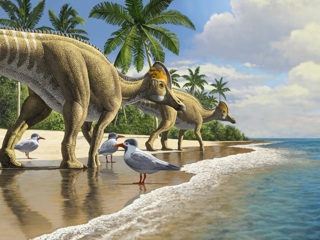 Найдены динозавры, переплывшие океан