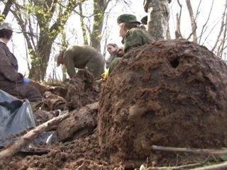 Под Волгоградом взорвался военный снаряд: погибли два поисковика