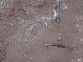 Песок с костями: СК проверит инцидент с "реагентами" с кладбища