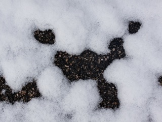Алтайских жителей просят сообщать об укладке асфальта в дождь и снег