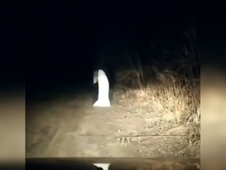 Полиция Казахстана разбирается с пугающим сельских жителей призраком
